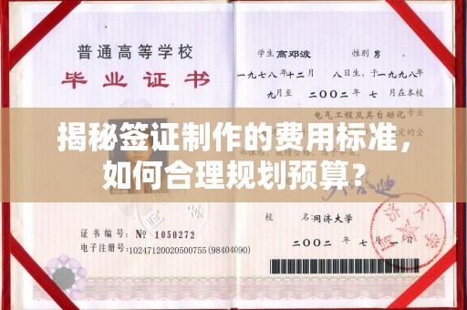 平坝揭秘签证制作的费用标准，如何合理规划预算？