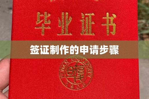 平坝签证制作的申请步骤